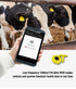 Handheld 125khz-134.2khz RFID Animal Ear Tag Reader Android PDAs Scanner for Cattle/goat Dairy Farm Livestock Data Management
