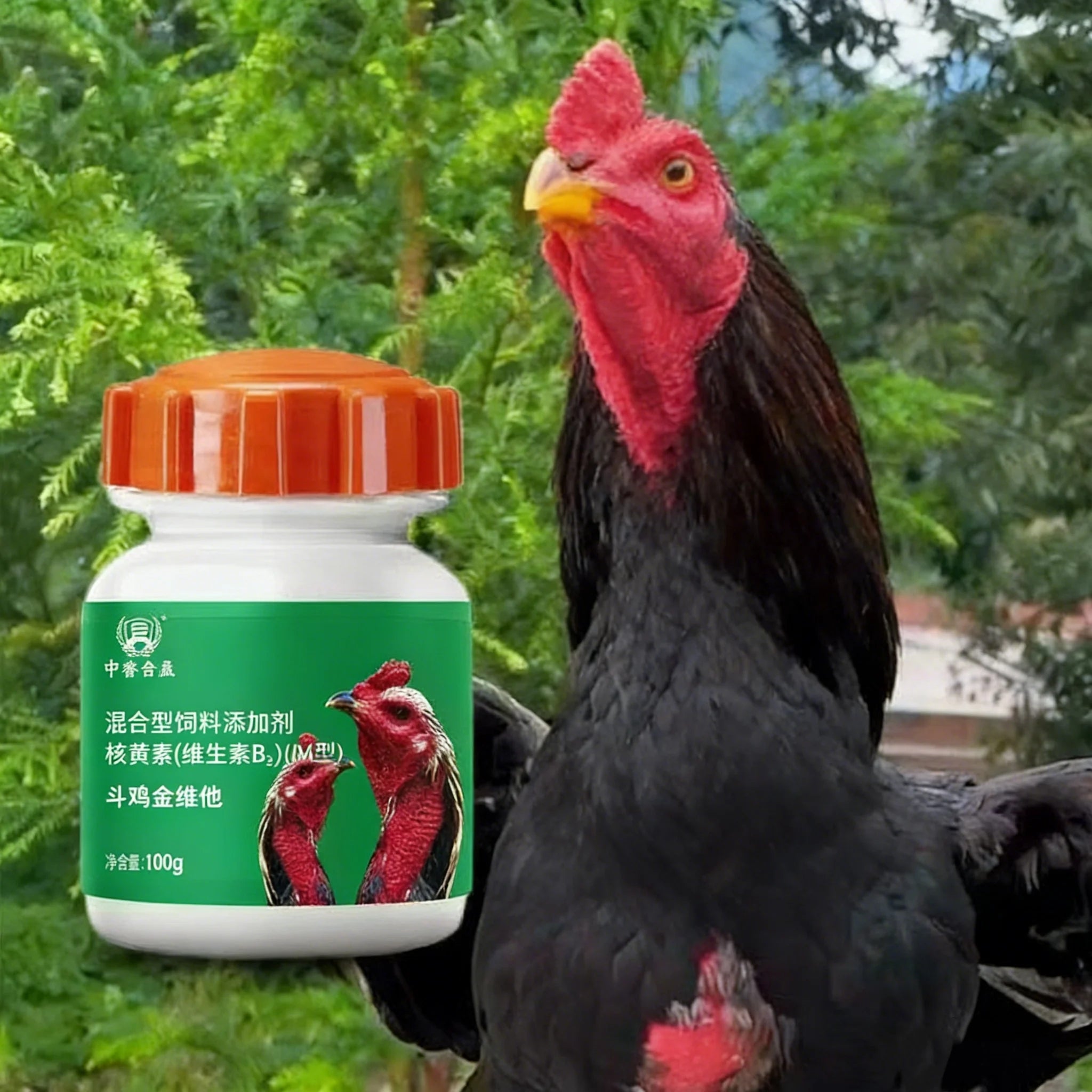 100g Fighting Cocks Vitamins Complex Multivitamin Supplement with 13 Essential Vitamins Boosts Immunity, Prevents Gout Weak Legs Main image
