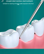 Stainless Steel Toothpick Set Reusable Toothpicks Tooth Flossing Tartar Removal Tool Portable Teeth Cleaner for Tooth Oral Clean