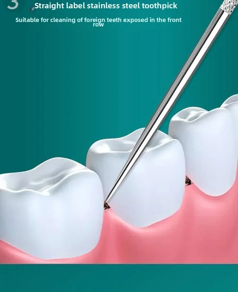 Stainless Steel Toothpick Set Reusable Toothpicks Tooth Flossing Tartar Removal Tool Portable Teeth Cleaner for Tooth Oral Clean