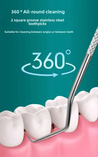 Stainless Steel Toothpick Set Reusable Toothpicks Tooth Flossing Tartar Removal Tool Portable Teeth Cleaner for Tooth Oral Clean