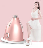 2 In 1 Professional Ironing Clothes Steamer Garment Steamer Fast Heat Steam Ironing Machine For Fabric Pure Silk Woolens Cotton